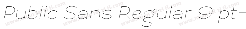Public Sans Regular 9 pt字体转换